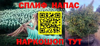 mdma Жуковский
