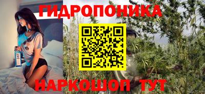 индика Заводоуковск