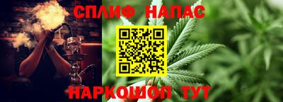 индика Заводоуковск