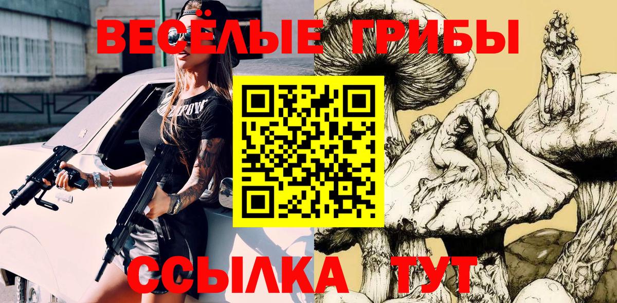 Курчалой  Псилоцибиновые грибы Psilocybine cubensis  Вход с VPN  Галлюциногенные грибы ЛСД 
